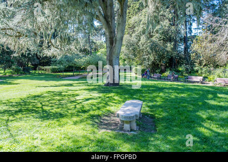 Jardin de Shakespeare, dans le parc du Golden Gate, San Francisco, California, USA Banque D'Images