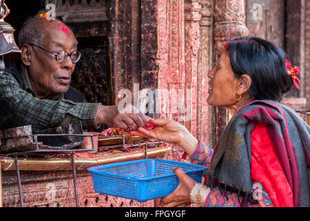 Le Népal, Patan. Adorateur présentant un sacrifice d'un saint homme dans un temple hindou. Banque D'Images