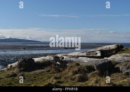 Sur la rive Thurstaston Dee Estuary, Wirral Merseyside, en regardant vers le nord du Pays de Galles. Banque D'Images