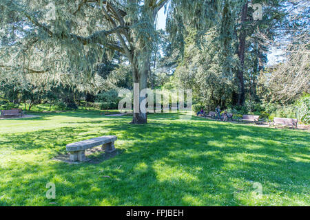 Jardin de Shakespeare, dans le parc du Golden Gate, San Francisco, California, USA Banque D'Images