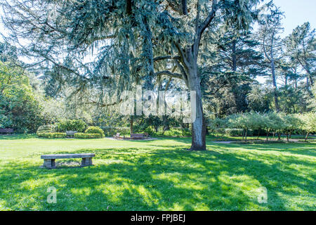 Jardin de Shakespeare, dans le parc du Golden Gate, San Francisco, California, USA Banque D'Images