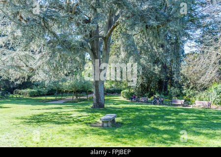 Jardin de Shakespeare, dans le parc du Golden Gate, San Francisco, California, USA Banque D'Images