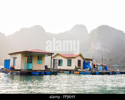 Village flottant dans la baie d'Halong Banque D'Images