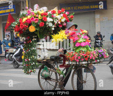 HANOI, VIETNAM - le 21 janvier 2016 : une marchande de fleurs en tenant sa masse de fleurs sur son vélo au marché en vue de la vi Banque D'Images