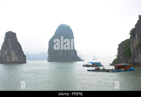 Vue sur le spectaculaire et mystérieux de la Baie d'Halong, Vietnam avec des maisons flottantes, avec des chiens, à l'avant-plan qui soutenir le poisson Banque D'Images