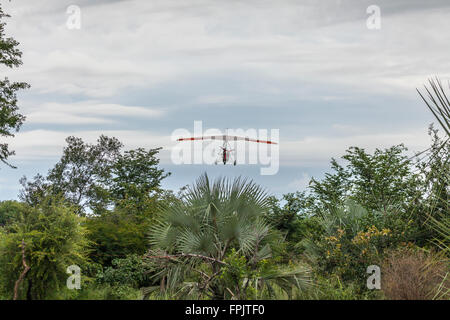Ulm sur Parc National de Mosi-oa-Tunya en direction de Mosi-oa-Tunya / Chutes Victoria près de Livingstone, Zambie, Afrique. Banque D'Images