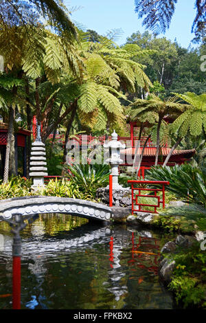Funchal, un jardin japonais dans le jardin tropical monte Banque D'Images
