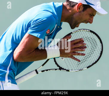 Indian Wells, en Californie, aux Etats-Unis. Mar 19, 2016. Novak Djokovic la Serbie de célèbre pendant la demi-finale des célibataires hommes contre Rafael Nadal de l'Espagne au BNP Paribas Open de tennis à Indian Wells (Californie) aux États-Unis, le 19 mars 2016. Djokovic a gagné 2-0. © Zhao Hanrong/Xinhua/Alamy Live News Banque D'Images