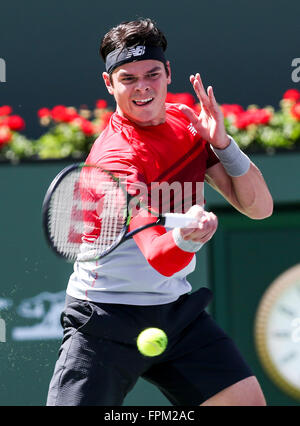 Indian Wells, en Californie, aux Etats-Unis. Mar 19, 2016. Milos Raonic du Canada renvoie la balle au cours de la demi-finale des célibataires hommes contre David Goffin de Belgique au tournoi de tennis BNP Paribas Open à Indian Wells, en Californie, aux États-Unis, le 19 mars 2016. Raonic a gagné 2-1. © Zhao Hanrong/Xinhua/Alamy Live News Banque D'Images