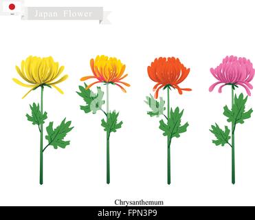 Le Japon Fleur, Illustration de chrysanthèmes. Un symbole de l'Empereur et la famille impériale du Japon. Illustration de Vecteur