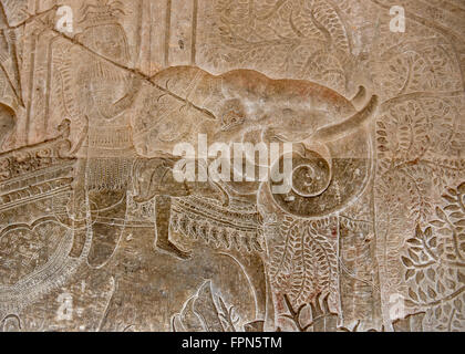 Angkhor Wat, Cambodge - Le 29 janvier 2016 : Bas-relief montrant un éléphant et un soldat de l'armée de terre Suryavarmen 11e siècle II Banque D'Images