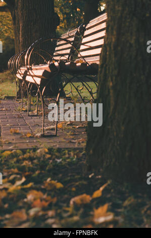 Deux élégantes des bancs dans le parc pendant le coucher du soleil d'automne Banque D'Images