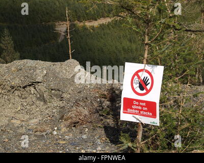 Un panneau d'avertissement à l'intérieur d'une plantation de conifères pin Mise en garde contre l'escalade sur le tas de bois Banque D'Images