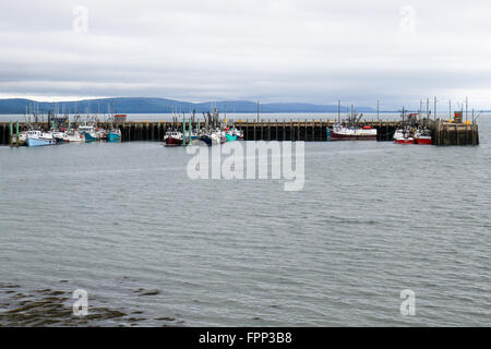 Bateaux de pêche du pétoncle (Flotte) au quai à Digby, Nouvelle-Écosse Banque D'Images