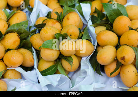 Plum Mango sur le marché local, la Thaïlande Banque D'Images