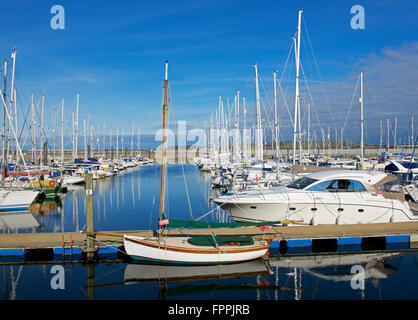 Yacht Haven, Troon Ayrshire du sud de l'Écosse, Royaume-Uni Banque D'Images