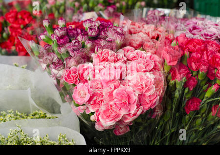 Dans l'œillet superbe marché aux fleurs, Thaïlande Banque D'Images