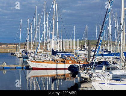 Yacht Haven, Troon Ayrshire du sud de l'Écosse, Royaume-Uni Banque D'Images