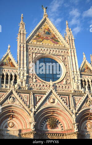 Magnifique cathédrale en marbre de Sienne, Italie Banque D'Images