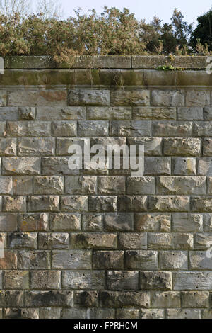 Mur de pierre rustiquée ruiné par la végétation sur le dessus, de l'ancien pont ferroviaire de la rivière Severn Purton, Gloucestershire. Banque D'Images