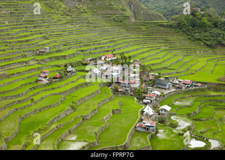 Les Cordillères, Banaue, UNESCO World Heritage site, rizières en terrasses des cordillères des Philippines, Batad village Banque D'Images