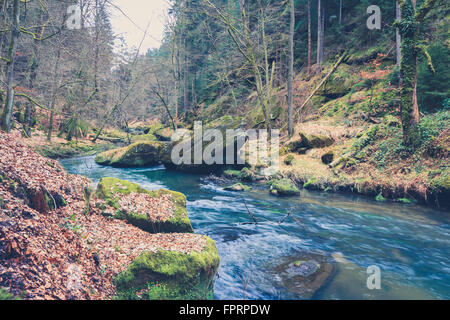 River paysage de forêt en automne, filtrée vintage Banque D'Images