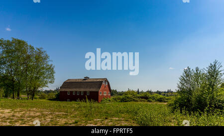 Grange rouge dans un champ les agriculteurs sous ciel bleu dans la vallée du Fraser en Colombie-Britannique, Canada Banque D'Images