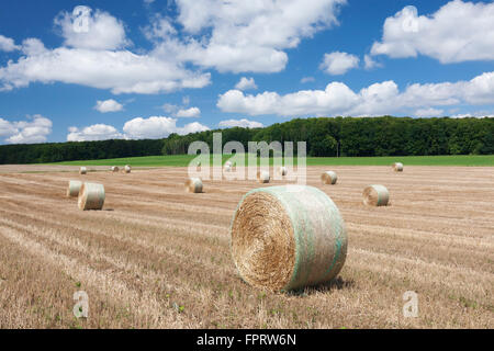 Bottes de paille sur le champ de chaumes en été avec les cumulus, Jura souabe, Bade-Wurtemberg, Allemagne Banque D'Images