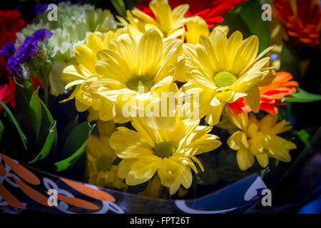 Bouquet de fleurs. Banque D'Images