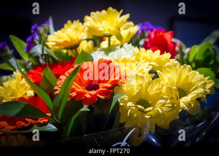 Bouquet de fleurs. Banque D'Images