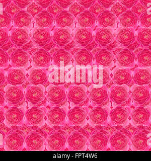 Damask rose pattern background Banque D'Images