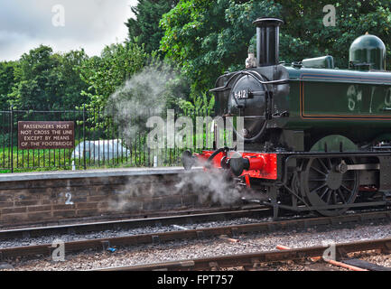 Totnes à Buckfastleigh Devon en train à vapeur Banque D'Images