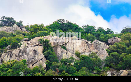 Close-up of rocks avec d'énormes rochers et de bosquets d'arbres verts et feuillage épais. Roches avec des rochers et arbustes. Banque D'Images