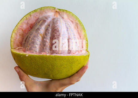 Un pomelo pelé partiellement tenu dans la main d'une jeune femme. Banque D'Images