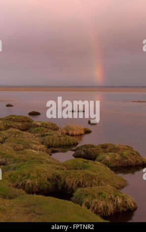 Solway Firth, en Écosse. Un arc-en-ciel au coucher du soleil sur le Solway Firth saltmarsh et plage, près du village de Powfoot. Banque D'Images