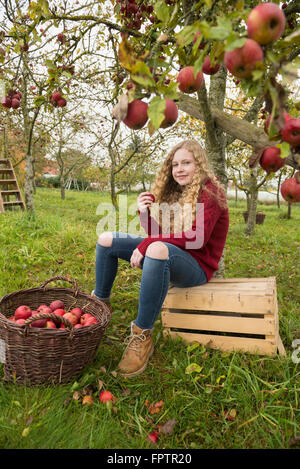 Teenage girl sitting on un cageot sous un pommier dans un verger ferme, Bavière, Allemagne Banque D'Images