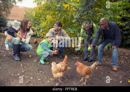 La famille et les amis de pommes l'alimentation des poulets dans la ferme, Bavière, Allemagne Banque D'Images