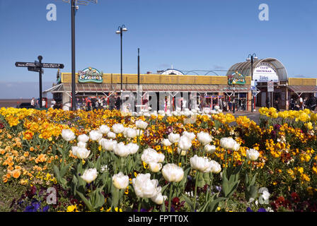 Cleethorpes, Lincolnshire, Royaume-Uni - 18 Avril 2014 : l'entrée du pavillon et fleurs de printemps le 18 avril, au Sea Road, Grimsby Banque D'Images