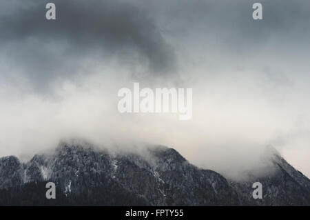 De gros nuages d'un épais brouillard sur les montagnes de Bucegi Banque D'Images