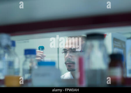 Young male scientist examining test tube dans un laboratoire, Freiburg im Breisgau, Bade-Wurtemberg, Allemagne Banque D'Images