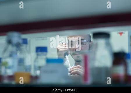 Échantillon de pipetage scientifique en tube à essai en laboratoire de recherche, Freiburg im Breisgau, Bade-Wurtemberg, Allemagne Banque D'Images