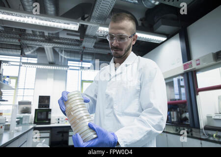 Scientist holding pile de boîtes de pétri dans un laboratoire de pharmacie, Freiburg im Breisgau, Bade-Wurtemberg, Allemagne Banque D'Images