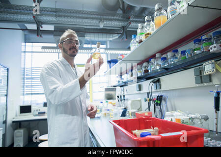 Jeune scientifique travaillant dans un laboratoire, Freiburg im Breisgau, Bade-Wurtemberg, Allemagne Banque D'Images