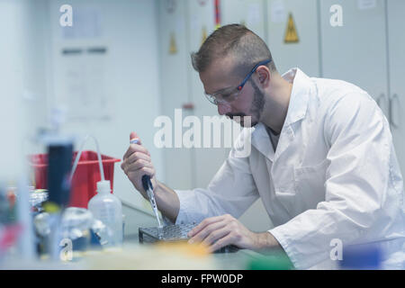 Échantillon de pipetage scientifique en tube à essai, Freiburg im Breisgau, Bade-Wurtemberg, Allemagne Banque D'Images