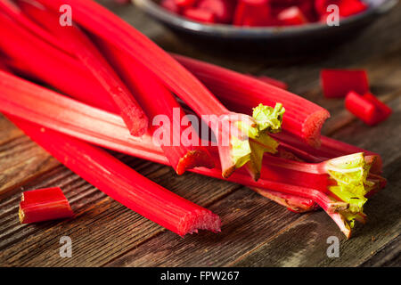 La rhubarbe rouge biologiques crus prêts à l'emploi Banque D'Images