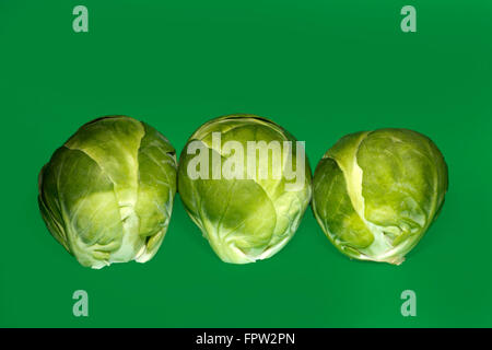 Le Chou de Bruxelles (Brassica oleracea var. Gemmifera) sur fond vert Banque D'Images