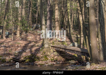 De beaux paysages dans une forêt pennsylvanienne centrale. Banque D'Images