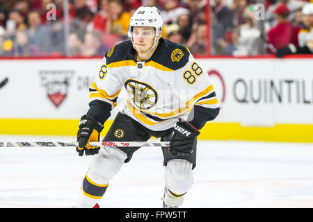 Bruins de Boston David Pastrnak l'aile gauche (88) au cours de la LNH match entre les Bruins de Boston et les Hurricanes de la Caroline au PNC Arena. Banque D'Images