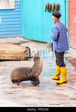 Seal attendent d'une femme Poisson Banque D'Images