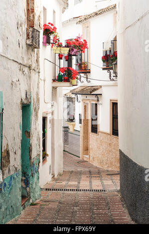 Rue typique andalouse étroites avec les pots de fleurs, Marbella, Andalousie, espagne. Banque D'Images